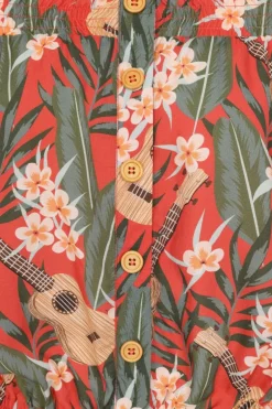Ukulele Top