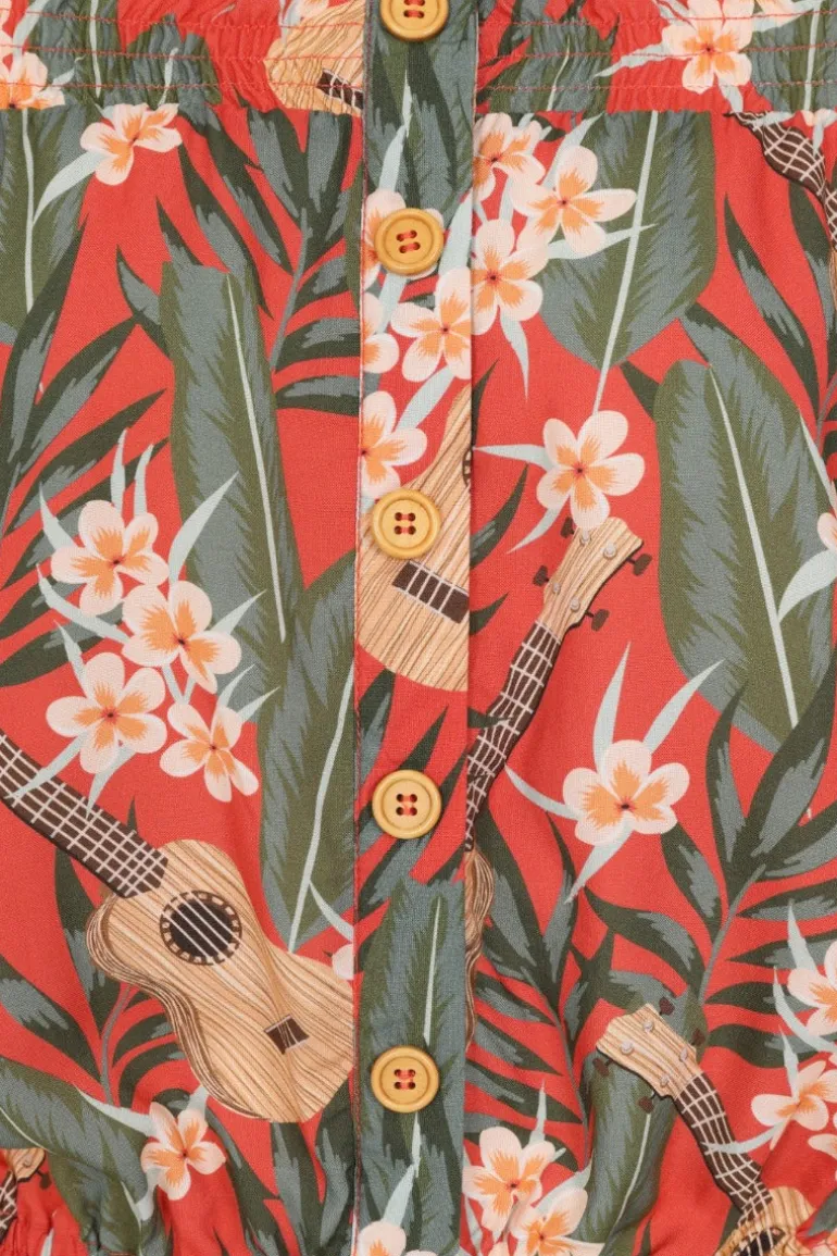 Ukulele Top